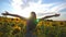 Unrecognizable beautiful girl standing on yellow sunflower field and raising hands. Happy woman enjoying freedom at the