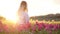 Unrecognizable blonde woman sitting alone in tulips field. Netherlands, amazing garden with blooming flowers. Golden