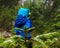 Unrecognizable boy in blue walking away from a spruce tree