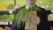 Unrecognizable Caucasian man smelling dill and green onion in paper pack and stretching bunch of greenery to camera