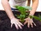 Unrecognizable caucasian man taking care of his plants