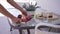 Unrecognizable Caucasian woman putting tray with vitamin fruits on glass table in slow motion. Flowers drinking glass