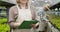 Unrecognizable Caucasian woman writing in documents as blurred male farmer taking care of plants at the background