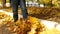 Unrecognizable child's feet walk on fallen yellow autumn leaves