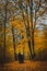 Unrecognizable couple with buggy on pathway. Trees covered with golden leaves in the autumn forest