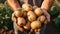 Unrecognizable farmer holding fresh organic raw potatoes generated by AI