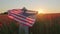 Unrecognizable female with USA flag walking in meadow