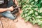 Unrecognizable film maker recording footage of some green plants inside a greenhouse