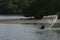 unrecognizable fisherman from the distance shore,throwing fishing net to catch fish.