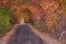 Unrecognizable group of people on a hiking trip. Walk in breathtaking autumn forest