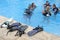 Unrecognizable group of people learn to scuba dive in a pool