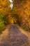 Unrecognizable group of people walking on natural path. Peoples walking in autumn park