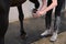 Unrecognizable horse owner cleaning horse hoof with a hoof picker.