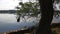 Unrecognizable lake boatman maneuvers his wooden row boat across the lake. Tree obscure the view