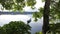 Unrecognizable lake boatman maneuvers his wooden row boat across the lake. Tree obscure the view