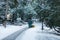 Unrecognizable man cleaning the park from snow with snowblower