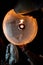 Unrecognizable man releasing paper lantern during Loi Krathong and Yi Peng festival in Chian Mai