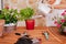 Unrecognizable middle age woman working with plants outdoors, watering plants, gardening concept. Nature