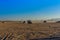 Unrecognizable people driving buggies during safari trip at sunset in Arabian desert not far from the Hurghada city, Egypt