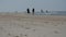 Unrecognizable people silhouettes walking on the beach, slow motion.
