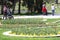Unrecognizable people walk and relax in the park in springtime. Sunny weather concept. People walk in a park around flowers