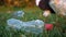 unrecognizable person collects trash in gloves, blurred background, close-up of a plastic bottle