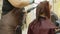 Unrecognizable person dyes hair of young woman in salon. Unknown hairdresser in gloves coloring hair of client in beauty