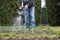 Unrecognizable person watering garden using watering can