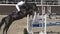 Unrecognizable professional male jockey rides on horseback. Horse is galloping and jumping through a barrier in