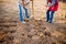 Unrecognizable senior couple planting potatoes in a row into ground