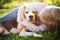 Unrecognizable senior woman with dog in spring nature.