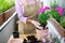 Unrecognizable senior woman gardening on balcony in summer, planting flowers.