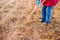 Unrecognizable senior woman planting potatoes in a row into gro