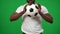 Unrecognizable serious African American footballer holding ball in hands standing at chromakey background. front view