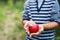 An unrecognizable small boy holding an apple in orchard.