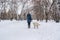 Unrecognizable teen girl walking her dog