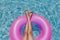 Unrecognizable teenager girl floating on pink donuts in a pool. Wearing sunglasses and smiling. Fun and summer lifestyle