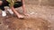 Unrecognizable teenager planting a tree on a street in Nicaragua