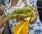 Unrecognizable woman with bag over arm talks to vendor at farmers market with squash and onions and cucumbers in baskets and plant