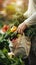 Unrecognizable woman buys fresh produce at farmers market with eco bag