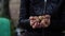 Unrecognizable woman holding walnuts in hands. Close up of woman\'s hands hold handful of nuts in shell outdoors in