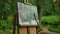 Unrecognizable woman paintress looks at a picture painted by her in a forest