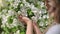 Unrecognizable woman touching gentle white flowers apple tree enjoy aroma fragrance at park garden