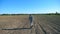 Unrecognizable young male farmer in hat and shirt going through the small green sprouts on his field at sunny summer day