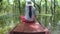 Unrecognized Asian Woman Rows a Boat Through Flooded Mangrove Tree Fores. Tonle Sap Lake, Cambodia. HD Gopro Action