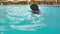 Unrecognized Caucasian senior elderly woman in black hat swims in blue water pool in hotel. Against the backdrop of