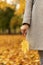 unrecognized female office worker holds yellow maple leave in autumn park, stress relief. Vertical plane