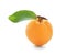 Unripe apricot on white background