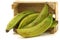 Unripe baking bananas (plantain bananas)