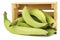 Unripe baking bananas plantain bananas in a wooden crate